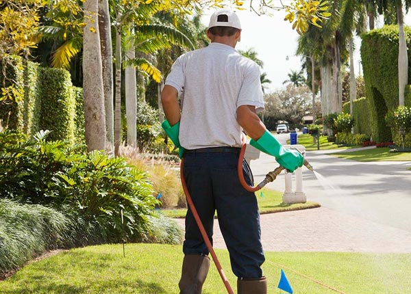 About Alden NY Pest Control Pros